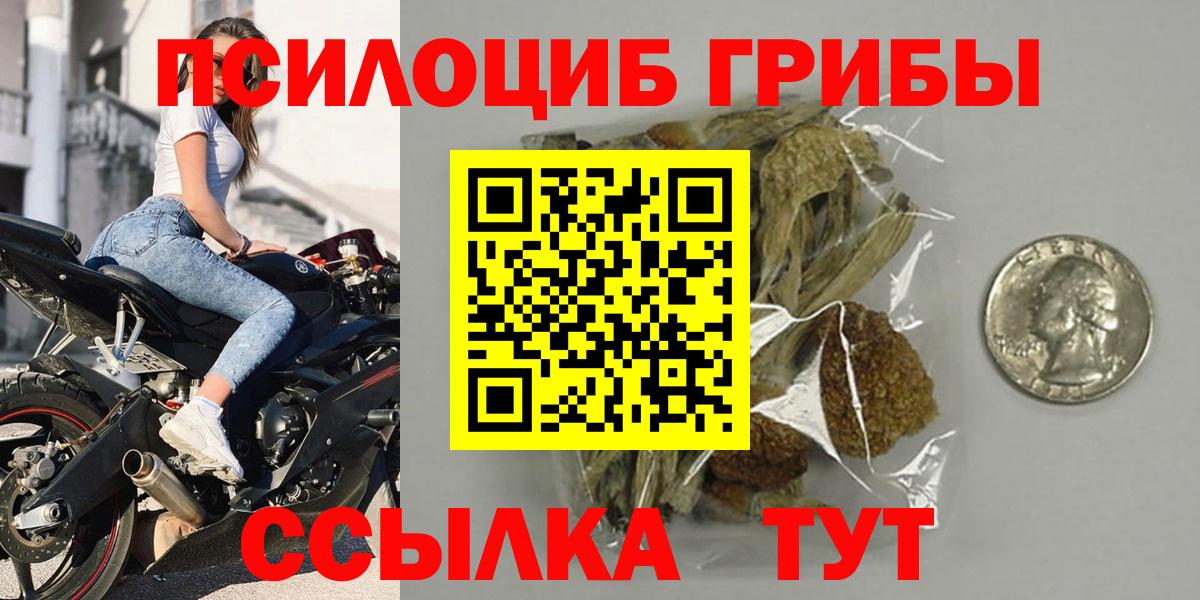 Владикавказ  Псилоцибиновые грибы ЛСД  Вход с VPN  Псилоцибиновые грибы ЛСД 